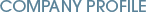 chapman_civil_industries_profile